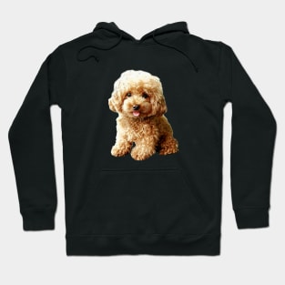 Mini Poodle Toy Poodle Cute Puppy Dog Hoodie